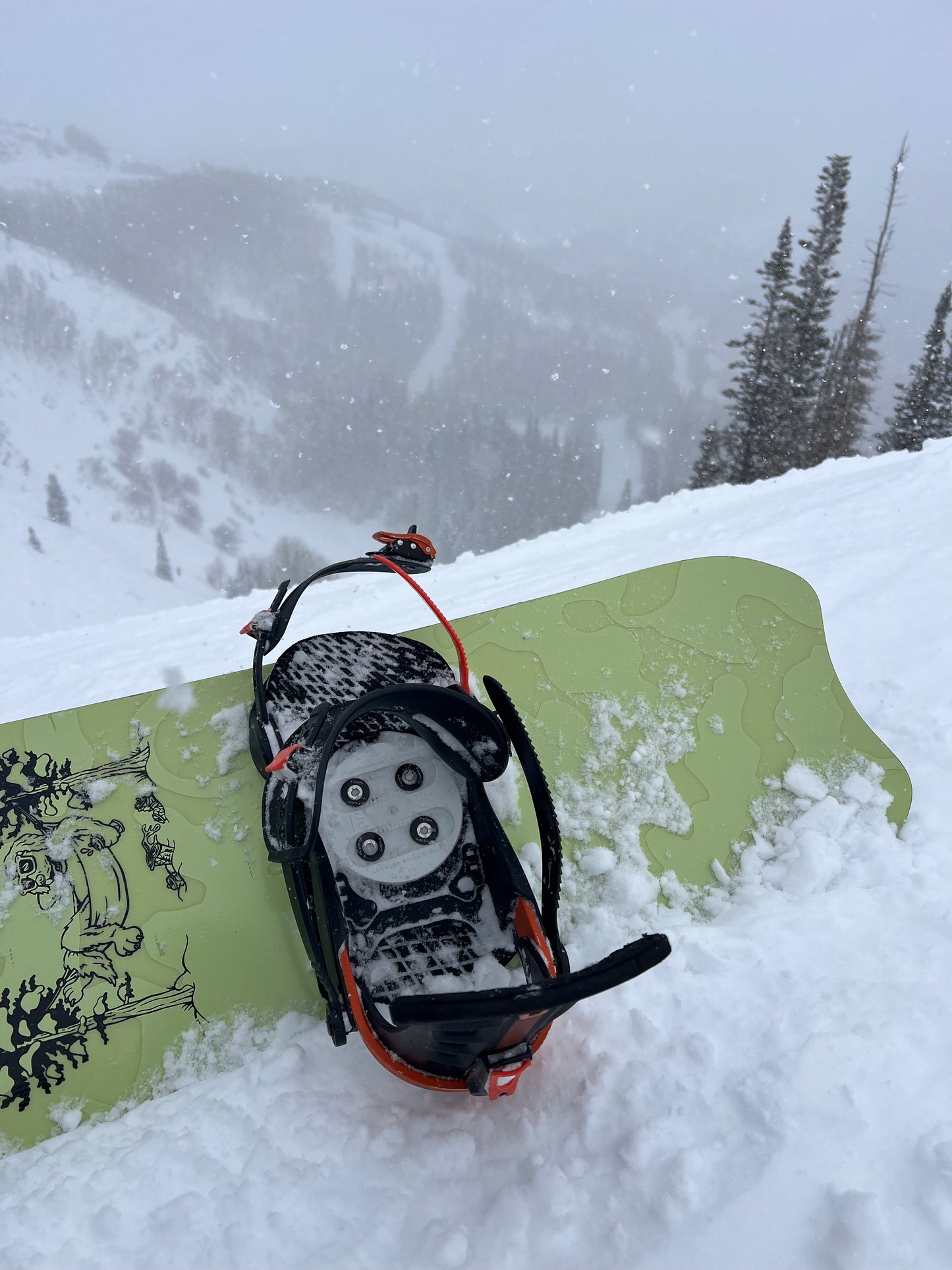 Fern Snowboard Hardware Torx Head